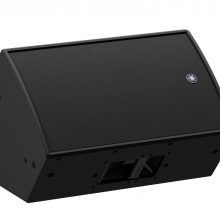 Yamaha DZR12 As Stage Monitor Yamaha DZR12 As Stage Monitor